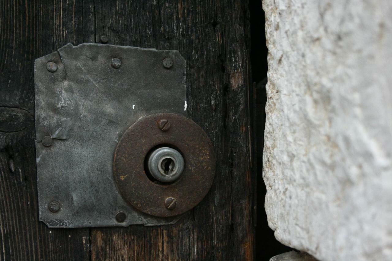 La Maison Aux Bonsais Saint-Paul-de-Vence Exteriör bild